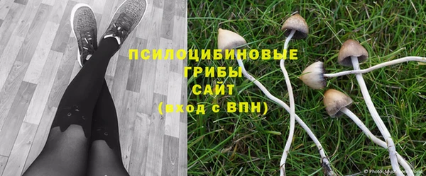 jwh Алзамай