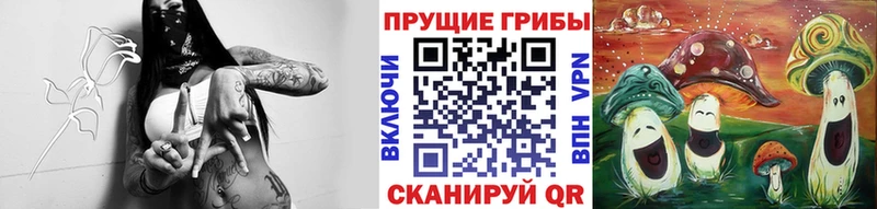 МЕГА вход  Козловка  Псилоцибиновые грибы мухоморы 